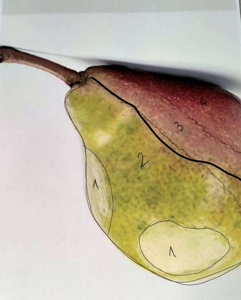 Rhinestone placement study — Oscar de la Renta pear clutch by Elsa Sen